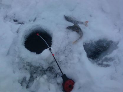 Подкормка рыбы кислородом зимой