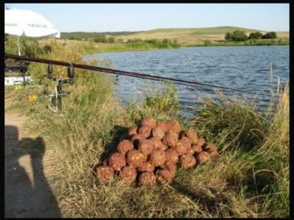 Прикормка рыбы