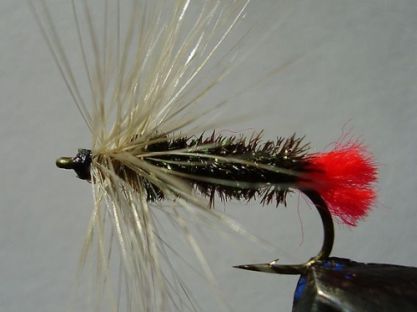 Насадка - насекомое