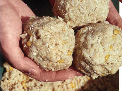 Дозирование прикормки