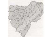 БАШМАЧОК КРАПЧАТЫЙ