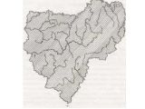 ГРОЗДОВНИК МНОГОРАЗДЕЛЬНЫЙ
