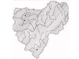 КОРОТКОНОЖКА ПЕРИСТАЯ