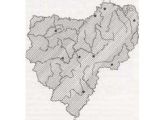 КУПЕНА МНОГОЦВЕТКОВАЯ