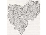ЛЮТИК КАУФМАНА