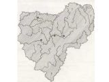 НАПЕРСТЯНКА КРУПНОЦВЕТКОВАЯ